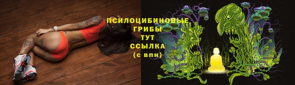 ГАЛЛЮЦИНОГЕННЫЕ ГРИБЫ Зеленодольск
