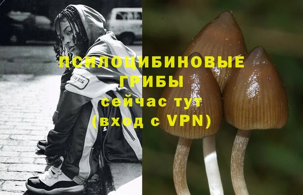 ГАЛЛЮЦИНОГЕННЫЕ ГРИБЫ Зеленодольск