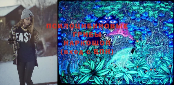 ГАЛЛЮЦИНОГЕННЫЕ ГРИБЫ Зеленодольск
