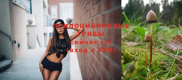 ГАЛЛЮЦИНОГЕННЫЕ ГРИБЫ Зеленодольск