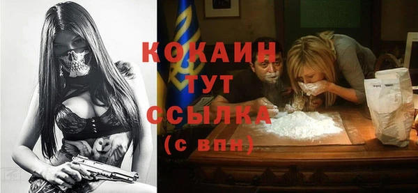 гашик Зерноград