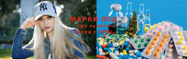 ГАЛЛЮЦИНОГЕННЫЕ ГРИБЫ Зеленодольск