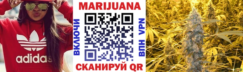 блэк спрут ссылки Кедровый Бошки марихуана THC 21%